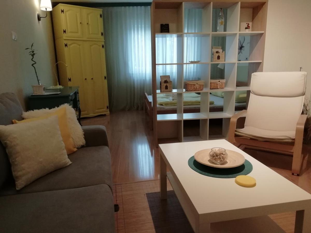 Apartment B44 萨格勒布 外观 照片